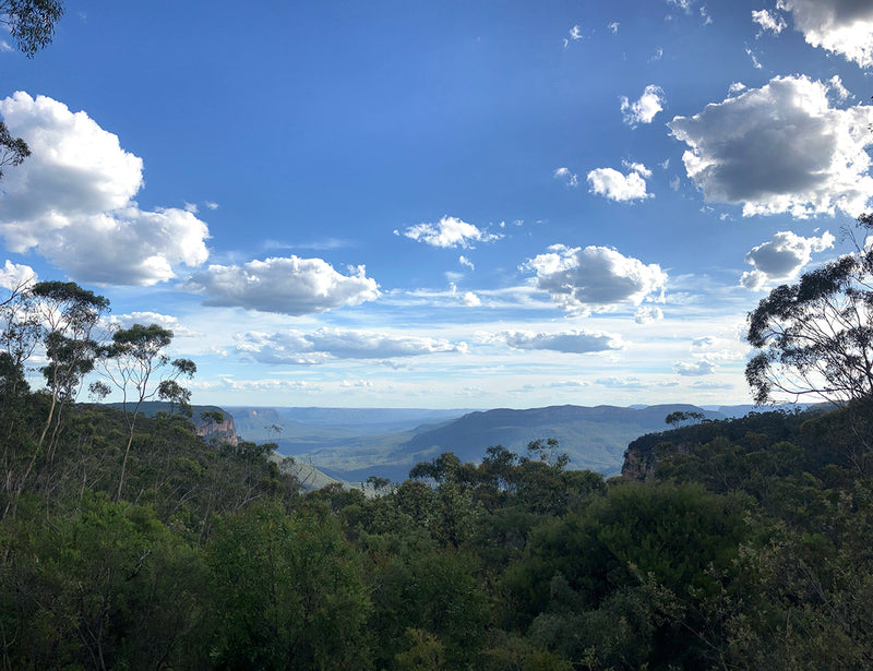 Exploring the Blue Mountains in Summer